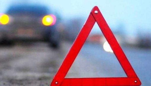 �������� Rimi ���� �������: ������������ ��������� � ��������