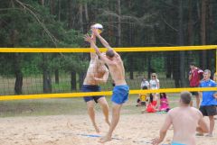 gallery_2_115_2887.jpg