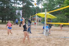 gallery_2_121_7971.jpg