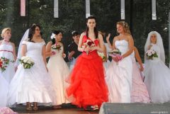 gallery_2_137_10164.jpg