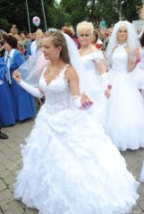gallery_2_137_103866.jpg