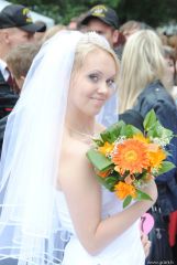 gallery_2_137_12849.jpg