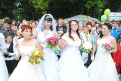 gallery_2_137_138539.jpg
