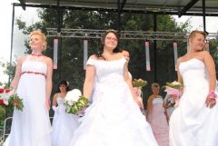 gallery_2_137_14182.jpg