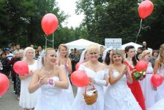 gallery_2_137_158944.jpg