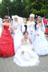 gallery_2_137_27139.jpg