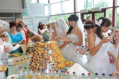 gallery_2_137_28881.jpg