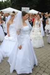 gallery_2_137_32763.jpg