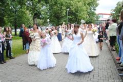 gallery_2_137_43992.jpg