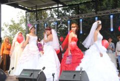 gallery_2_137_47075.jpg