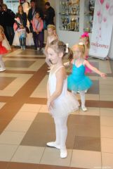 gallery_2_137_55040.jpg
