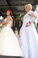 gallery_2_137_60061.jpg