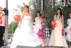gallery_2_137_70446.jpg