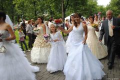 gallery_2_137_90409.jpg