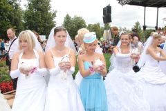 gallery_2_137_90623.jpg