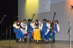 gallery_2_155_51439.jpg