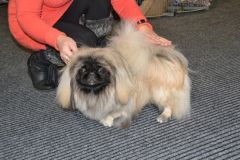 gallery_889_179_48265.jpg