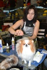 gallery_889_179_60204.jpg