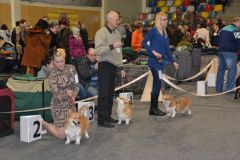 gallery_889_179_68838.jpg