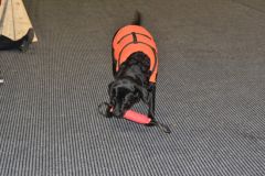 gallery_889_179_7379.jpg