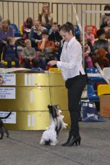 gallery_889_179_86153.jpg