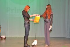 gallery_2_187_146582.jpg