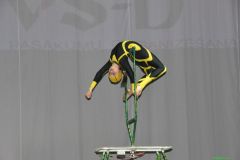 gallery_2_187_84552.jpg
