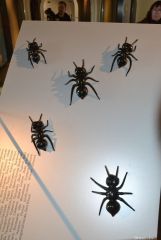 gallery_2_193_82615.jpg