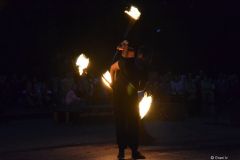 gallery_2_233_15336.jpg
