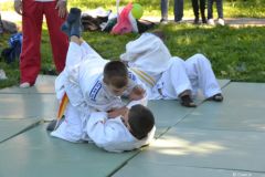 gallery_2_233_26826.jpg