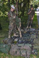 gallery_2_233_49715.jpg