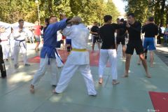 gallery_2_233_87880.jpg