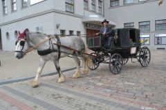 gallery_2_237_33102.jpg