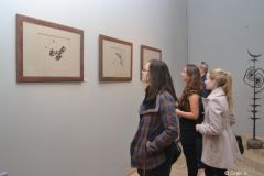 gallery_2_239_20055.jpg