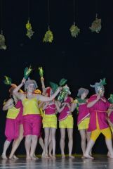 gallery_2_252_13363.jpg