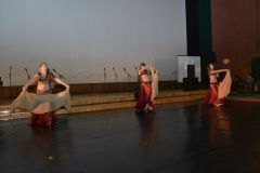 gallery_2_253_22321.jpg