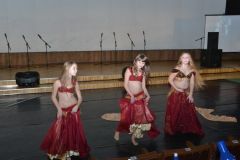 gallery_2_253_23345.jpg