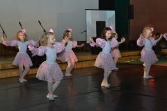 gallery_2_253_26493.jpg