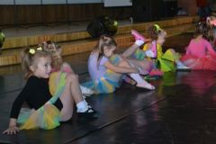 gallery_2_253_28330.jpg