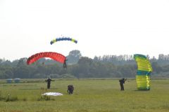 gallery_700_275_10328.jpg