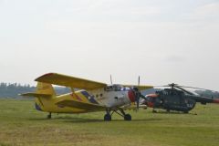 gallery_700_275_104537.jpg