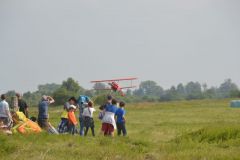 gallery_700_275_111857.jpg