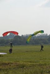 gallery_700_275_117340.jpg