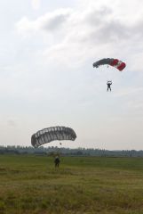 gallery_700_275_120574.jpg