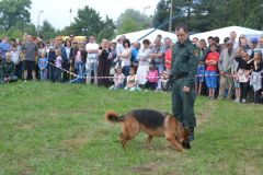 gallery_700_275_120939.jpg