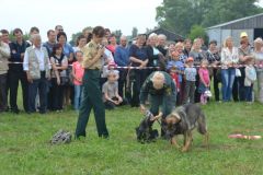 gallery_700_275_12446.jpg