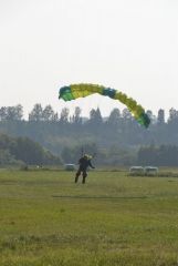 gallery_700_275_139529.jpg