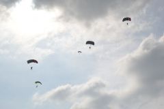 gallery_700_275_14588.jpg