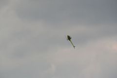 gallery_700_275_15124.jpg
