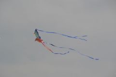 gallery_700_275_16968.jpg